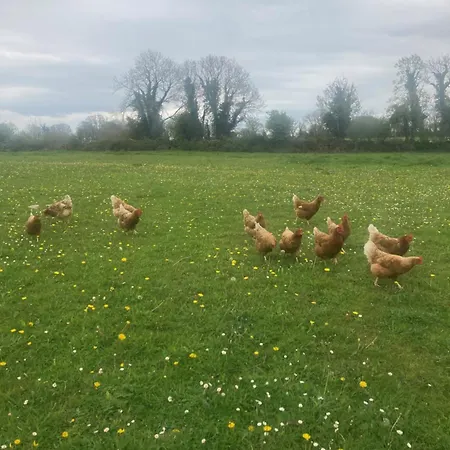 Apartmán Luxury Country Escape Ennis