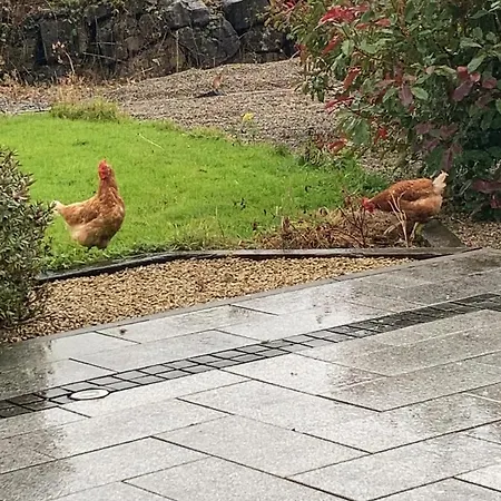 Luxury Country Escape Ennis
