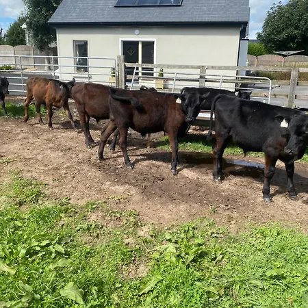 Luxury Country Escape Appartement