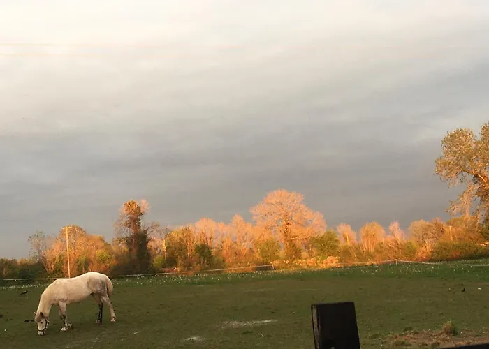 Luxury Country Escape Apartamento Ennis