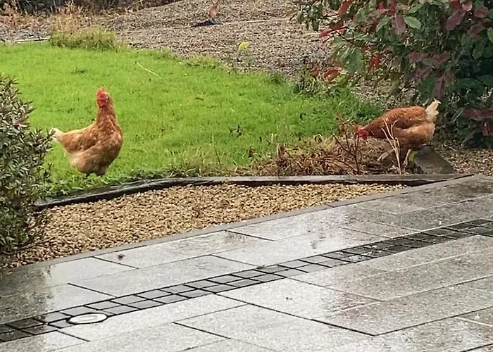 Luxury Country Escape Ennis