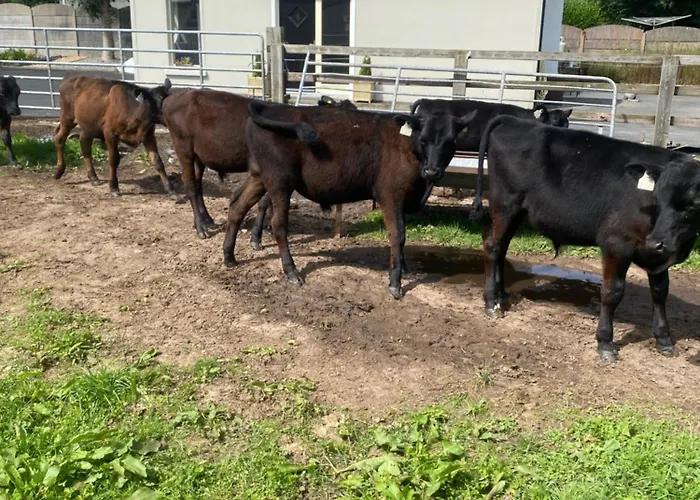 Luxury Country Escape Apartamento